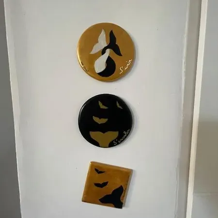 Malouine De Style Ideale Famille